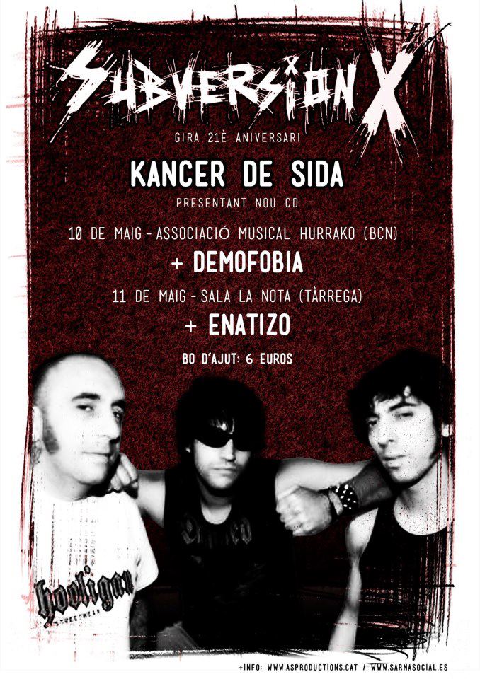 SUBERSIONX2013