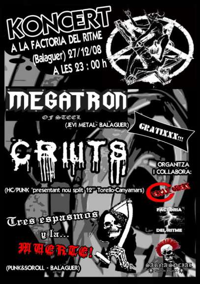 koncert271