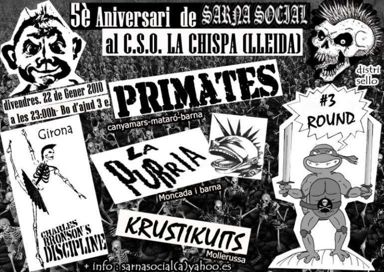 primates