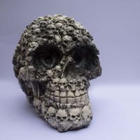calavera2