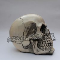 calaveranormal calaveranormal