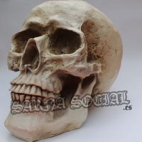 calaveranormaldos calaveranormaldos