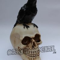 calaverapajaro1 calaverapajaro1