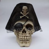 calaverapirata calaverapirata