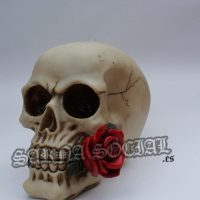 calaverarosa calaverarosa