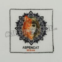 6_aspencat_S 6_aspencat_S